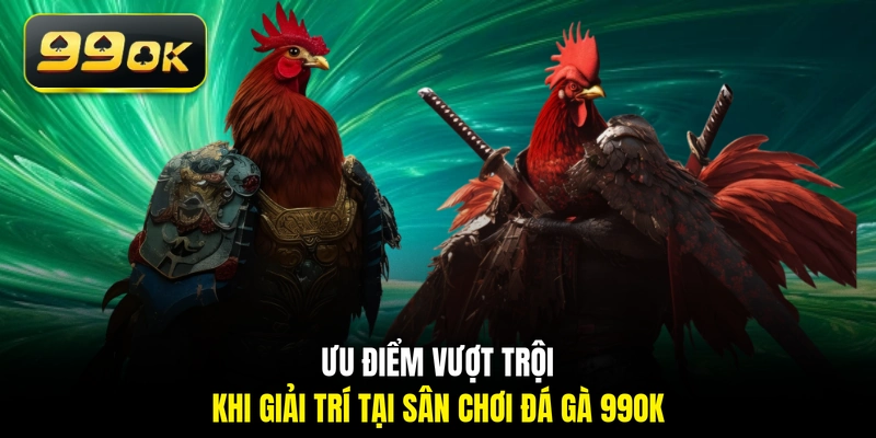 Ưu điểm vượt trội khi giải trí tại sân chơi đá gà 99OK